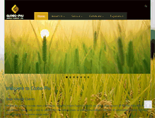 Tablet Screenshot of globopiu.com